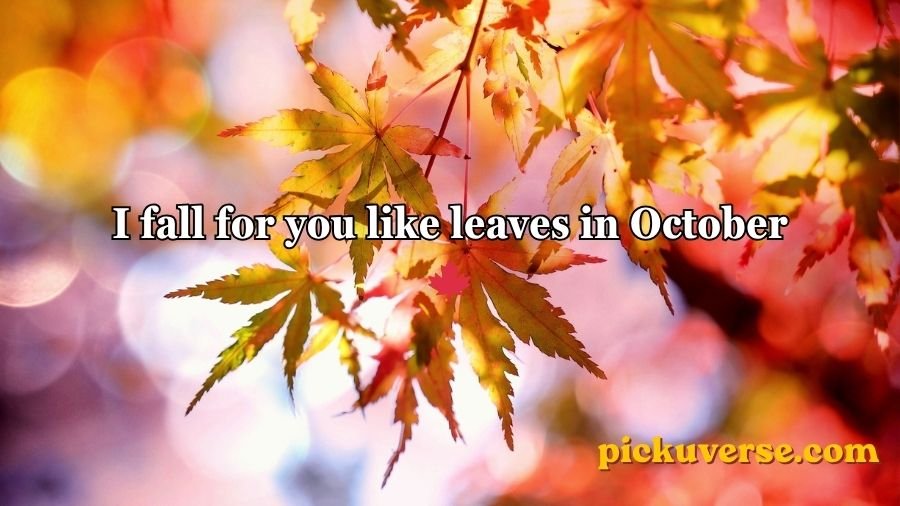 Fall pick up lines
