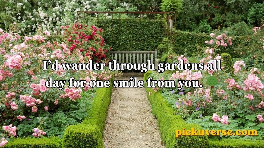 Flower Pick Up Lines