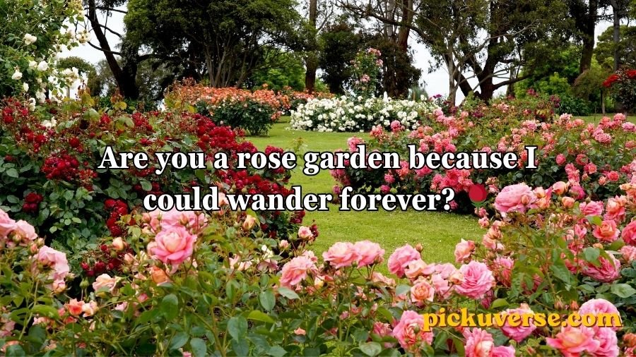 Flower Pick Up Lines
