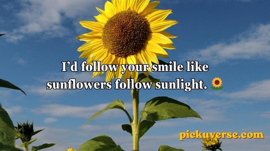 Flower Pick Up Lines