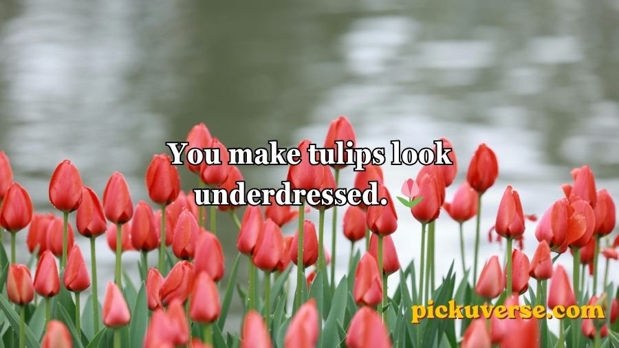 Flower Pick Up Lines