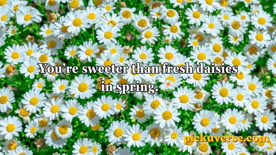 Flower Pick Up Lines