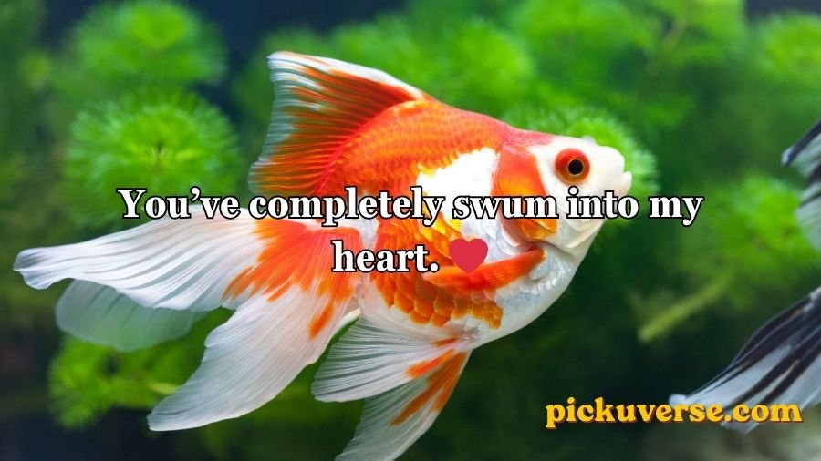 Goldfish Pick-Up Lines