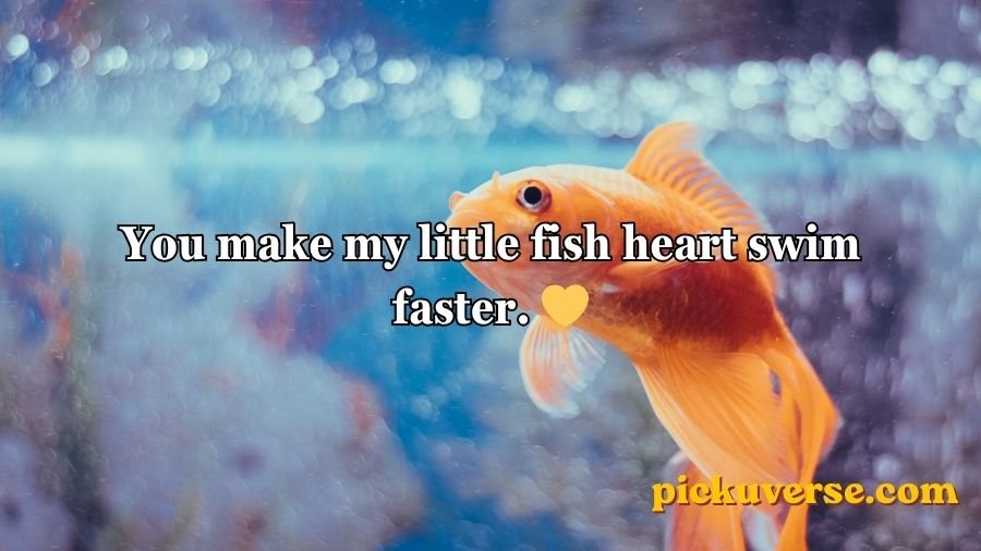 Goldfish Pick-Up Lines