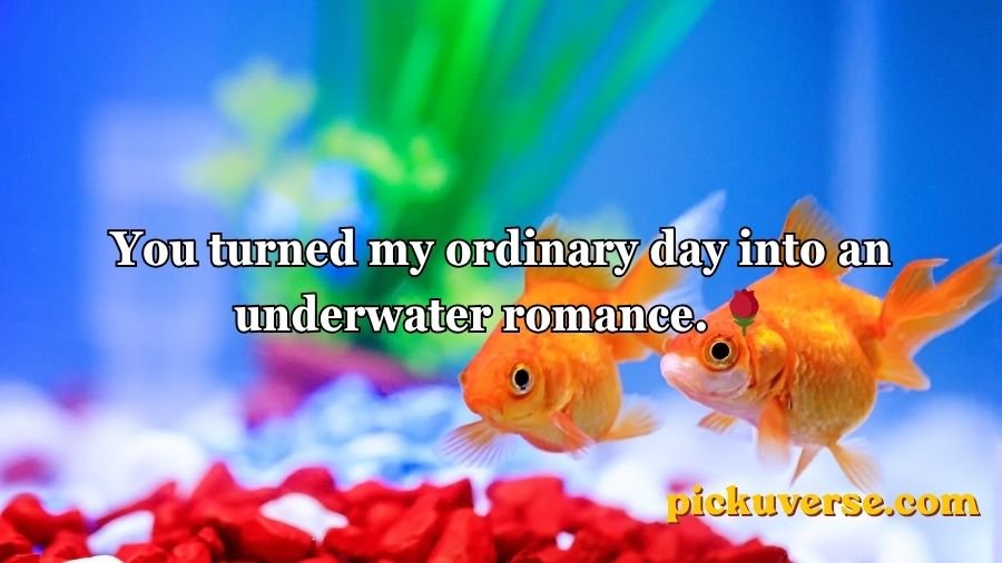 Goldfish Pick-Up Lines
