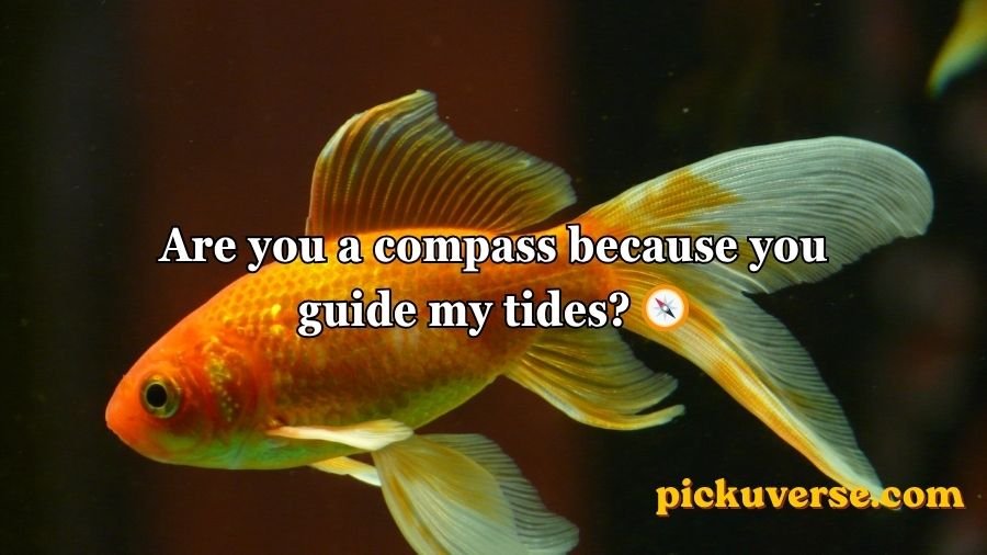 Goldfish Pick-Up Lines