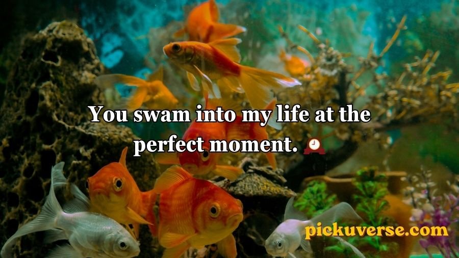 Goldfish Pick-Up Lines
