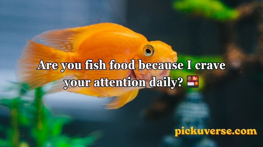 Goldfish Pick-Up Lines