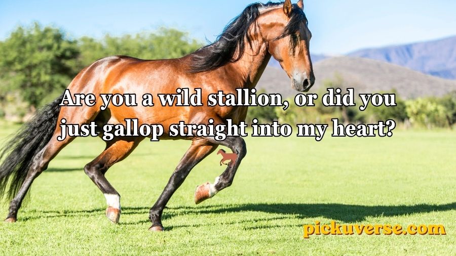 Horse Pick Up Lines