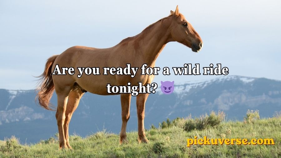 Horse Pick Up Lines