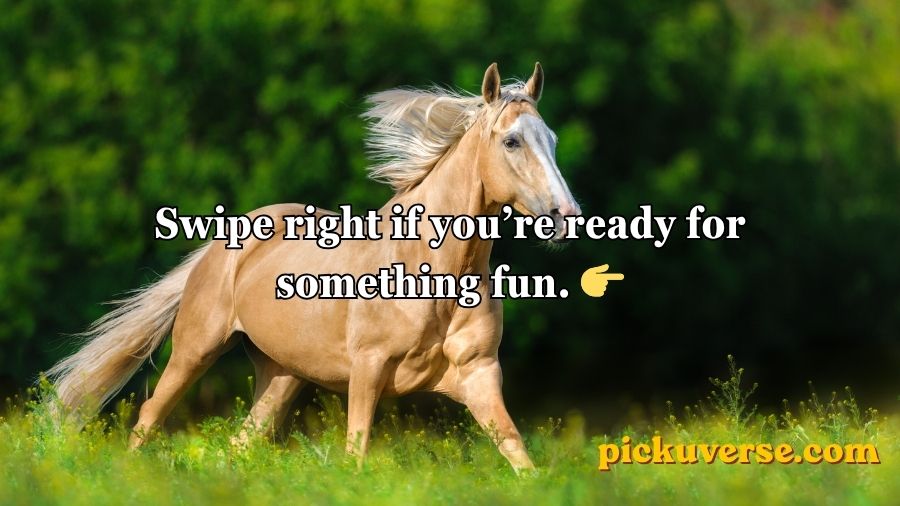 Horse Pick Up Lines