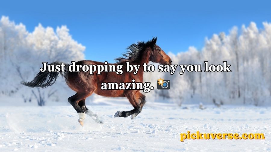 Horse Pick Up Lines