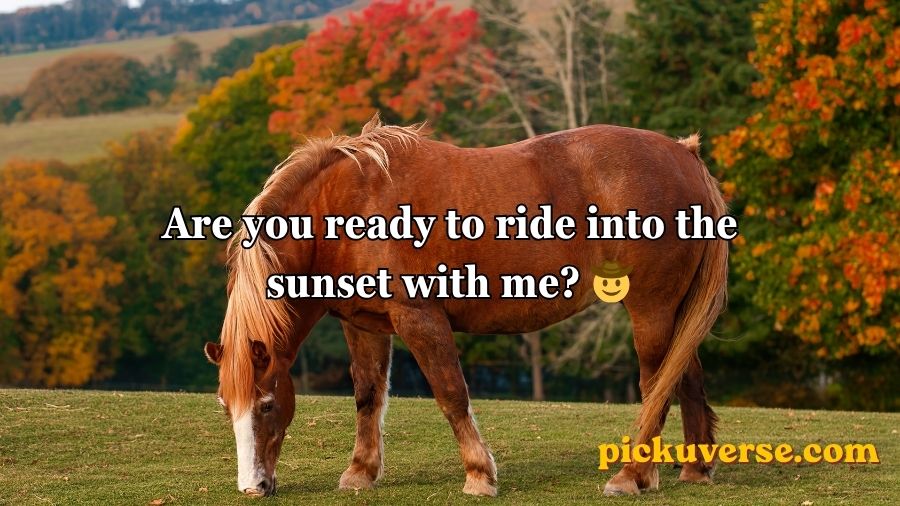 Horse Pick Up Lines