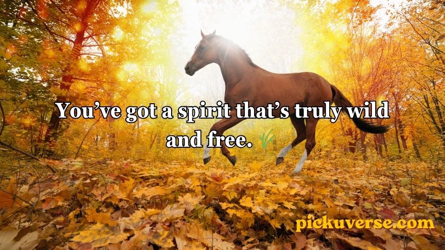 Horse Pick Up Lines