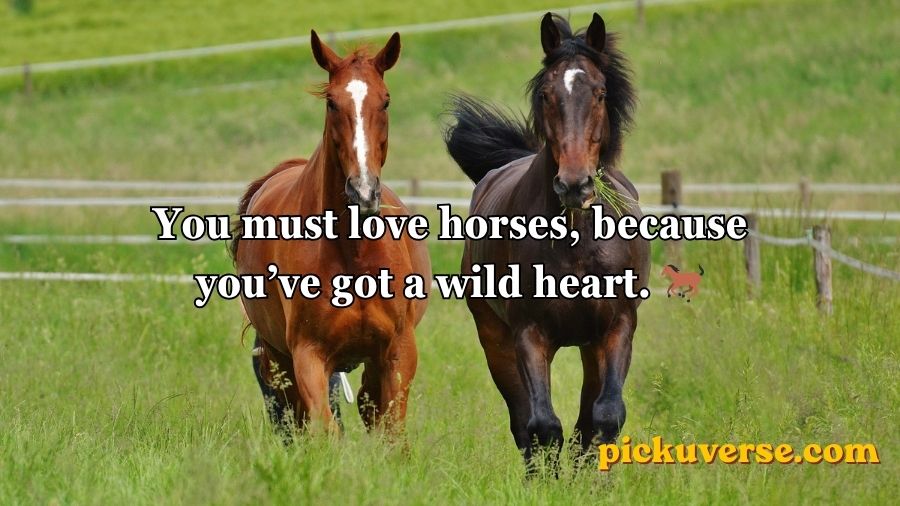 Horse Pick Up Lines