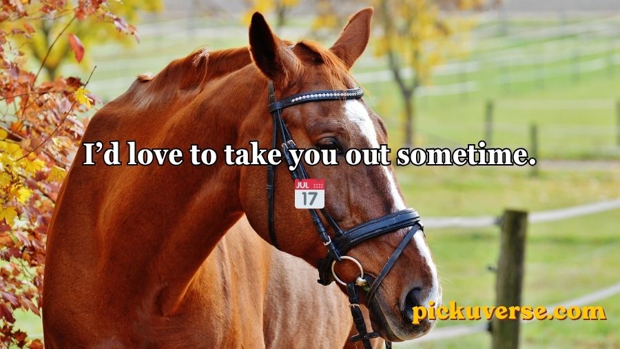 Horse Pick Up Lines