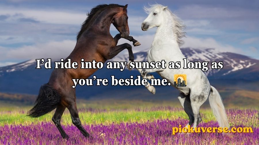 Horse Pick Up Lines