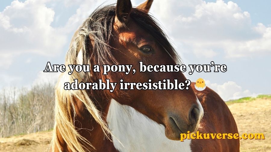 Horse Pick Up Lines