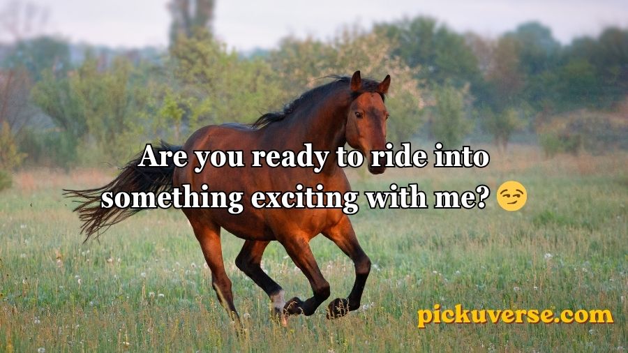 Horse Pick Up Lines