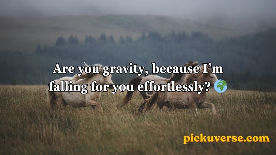 Horse Pick Up Lines