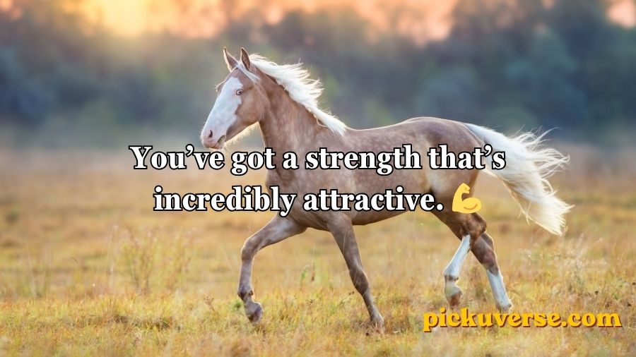 Horse Pick Up Lines