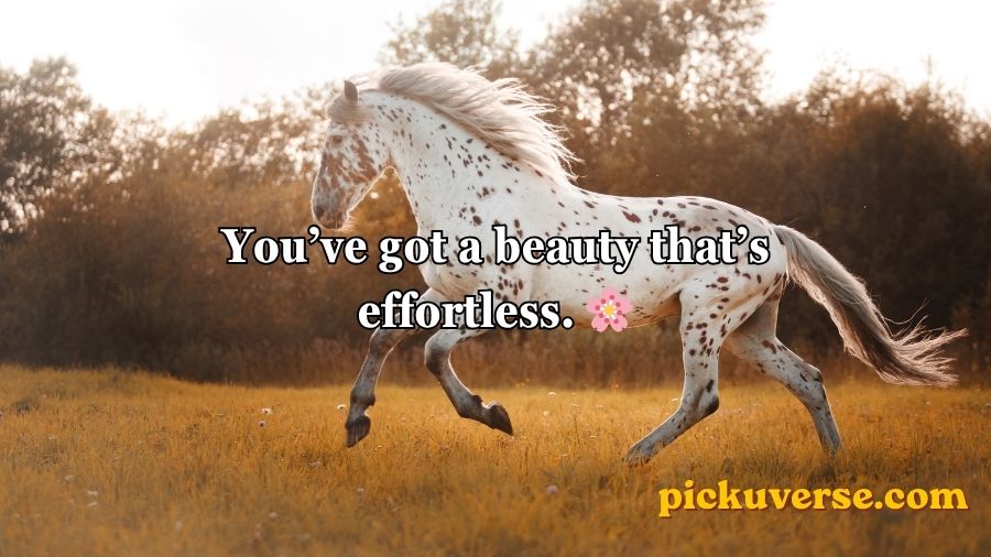 Horse Pick Up Lines