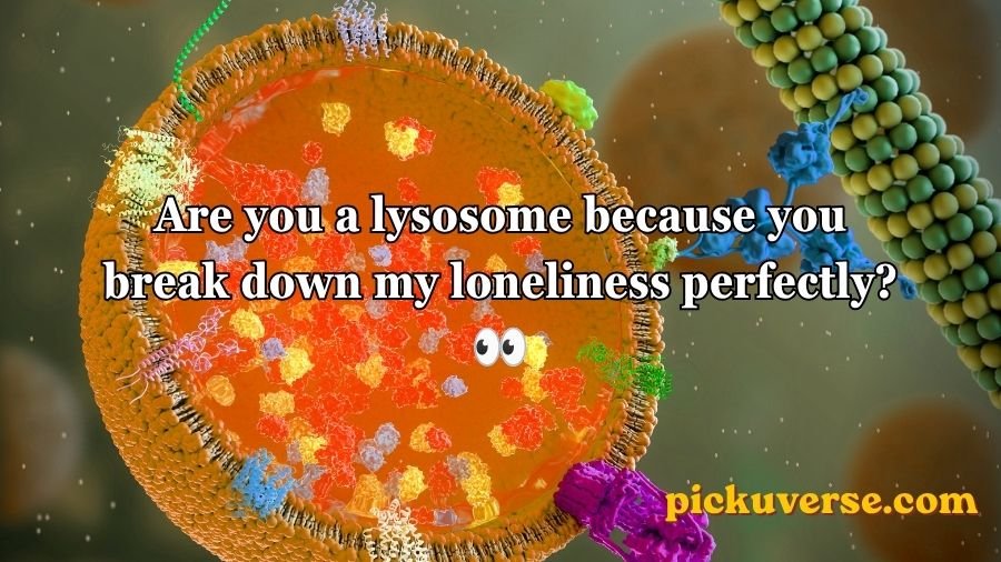Lysosome pick up lines