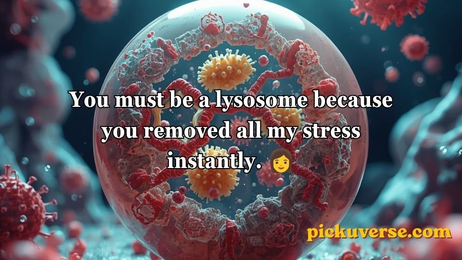Lysosome pick up lines