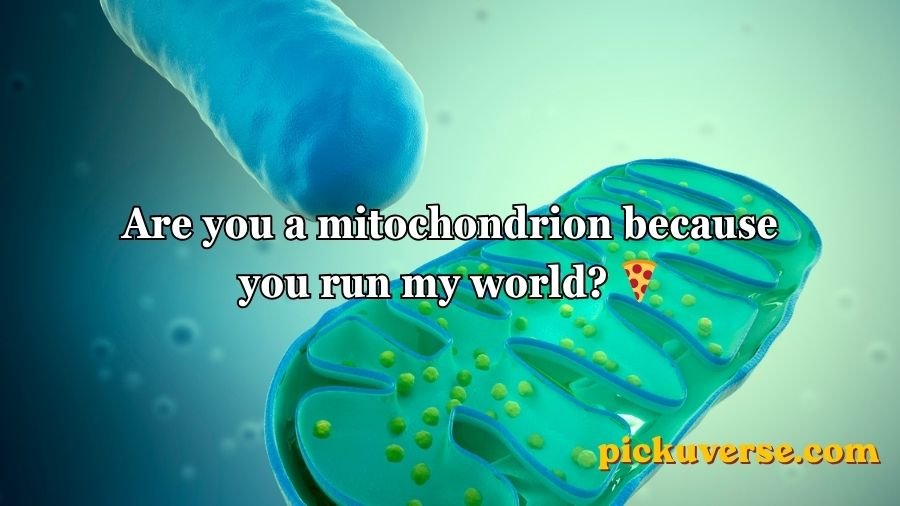 Mitochondria Pick Up Lines