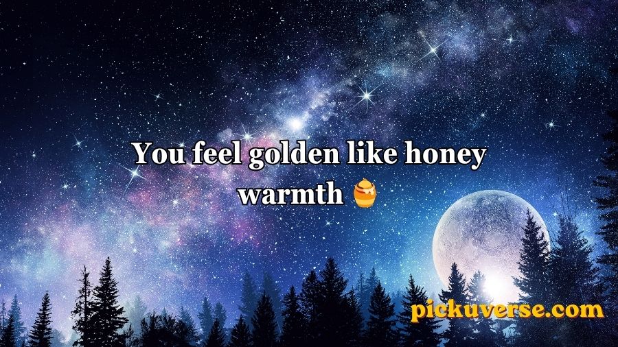 Moon Pick Up Lines