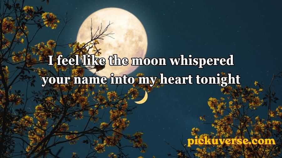 Moon Pick Up Lines