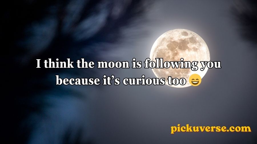 Moon Pick Up Lines