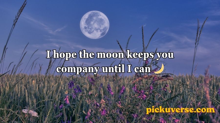 Moon Pick Up Lines