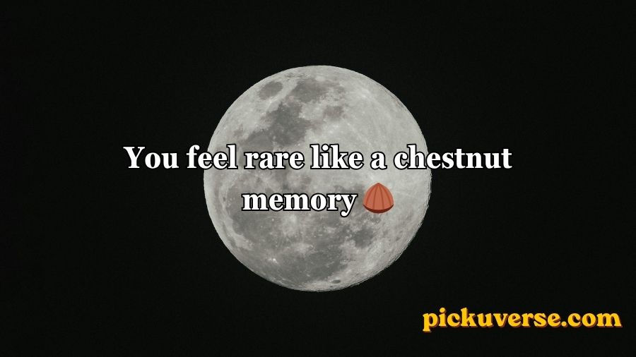 Moon Pick Up Lines
