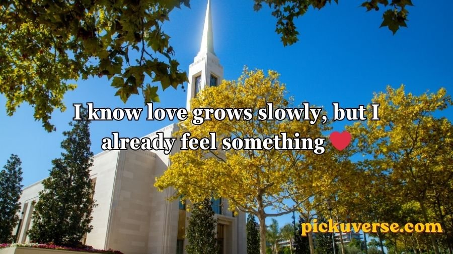Mormon Pick Up Lines