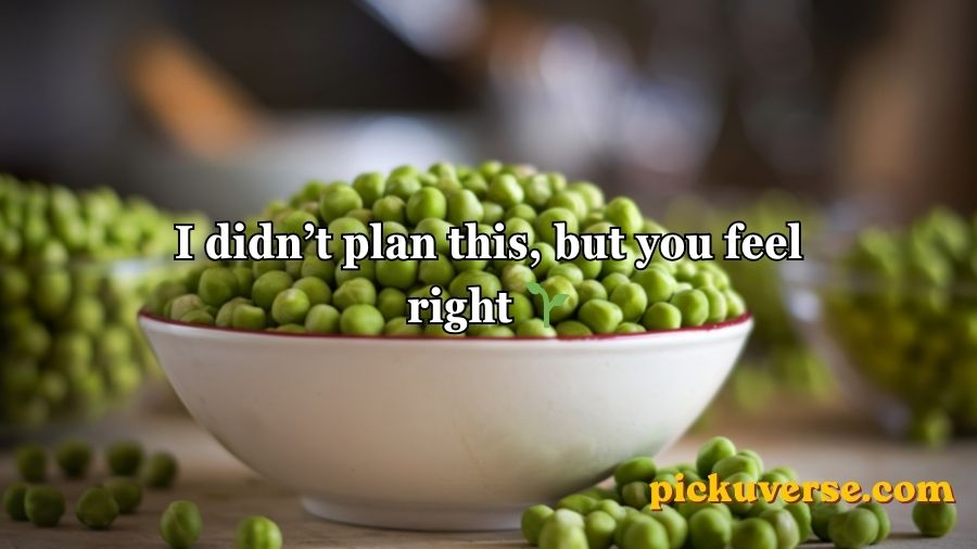 Pea Pickup Lines