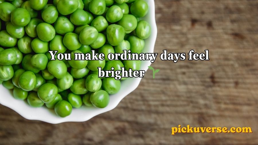 Pea Pickup Lines