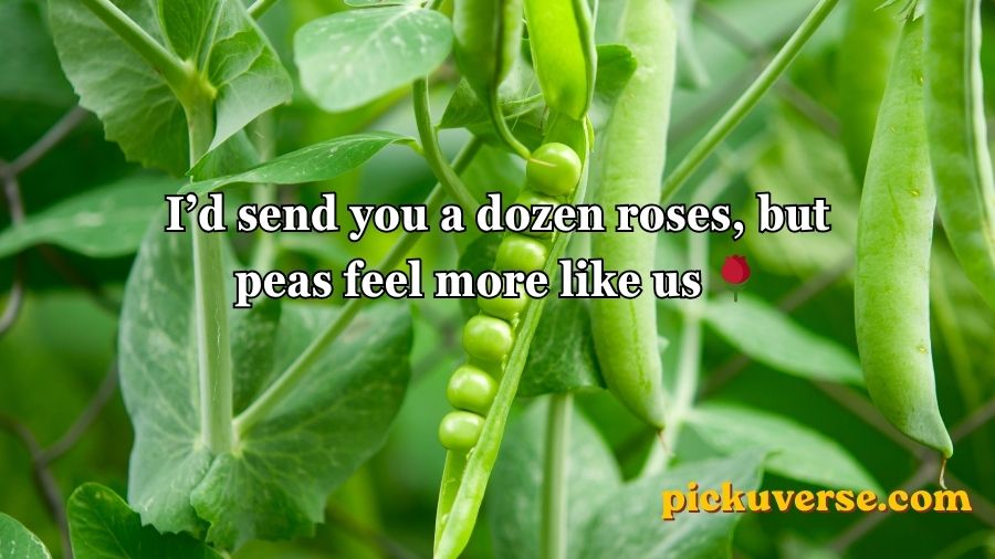 Pea Pickup Lines