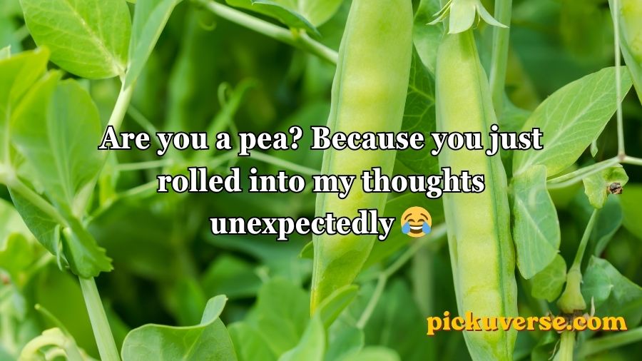 Pea Pickup Lines