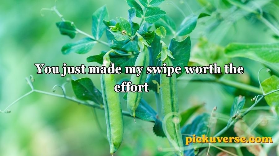 Pea Pickup Lines