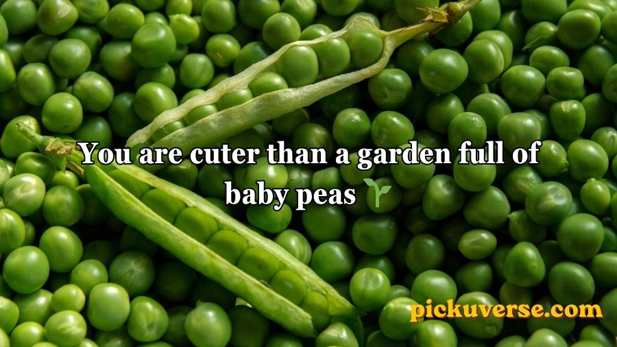 Pea Pickup Lines