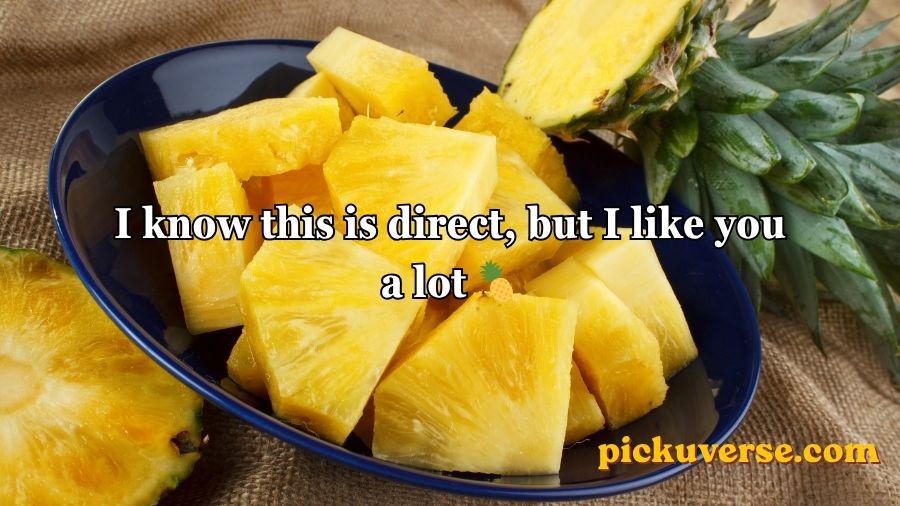 Pineapple Pick Up Lines