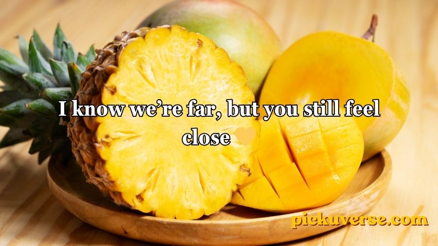 Pineapple Pick Up Lines