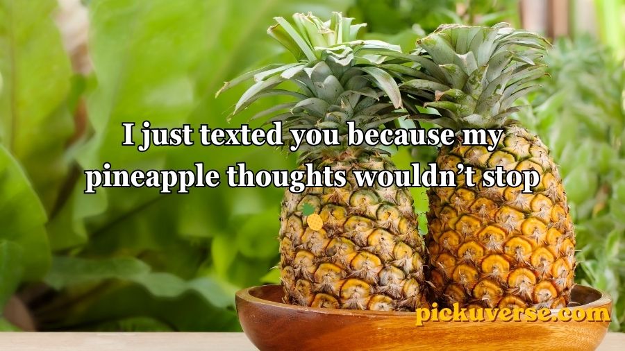 Pineapple Pick Up Lines
