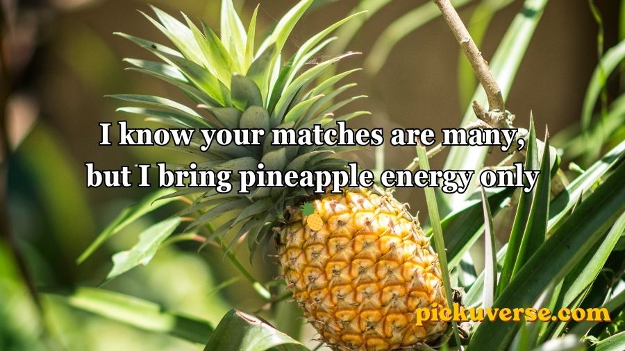 Pineapple Pick Up Lines