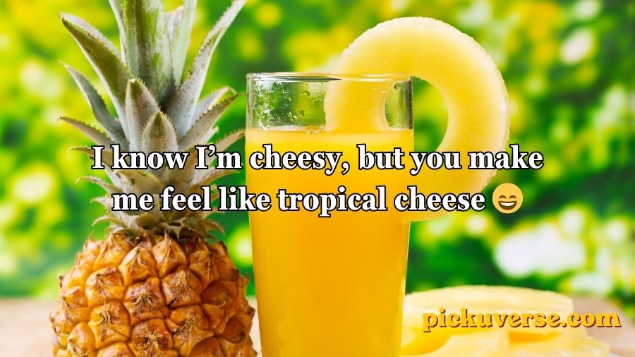 Pineapple Pick Up Lines