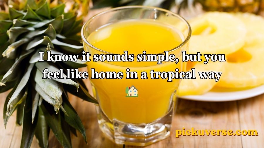 Pineapple Pick Up Lines