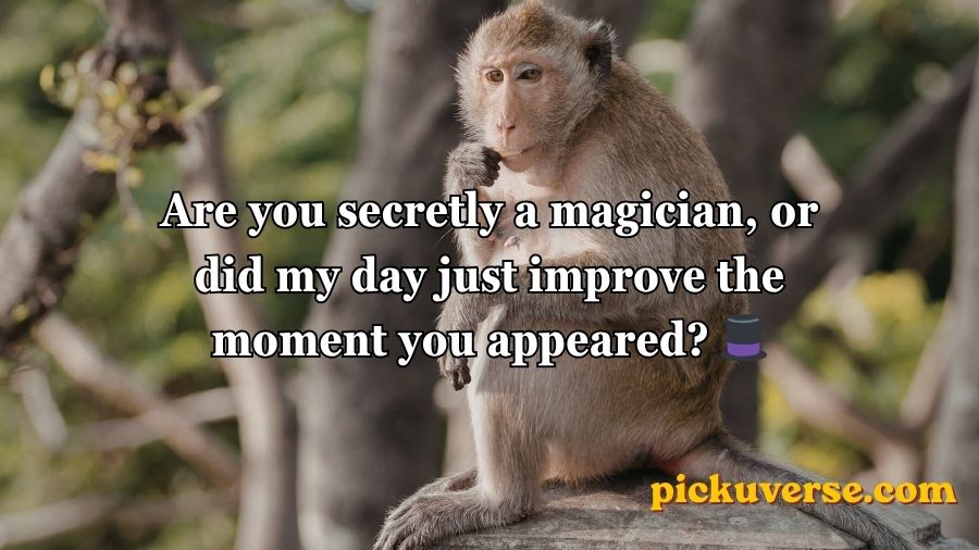 Rizz Monkey GIF Pick Up Lines