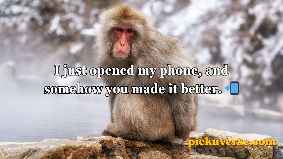 Rizz Monkey GIF Pick Up Lines