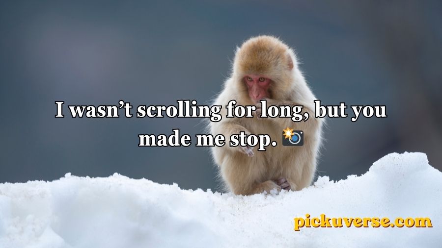 Rizz Monkey GIF Pick Up Lines